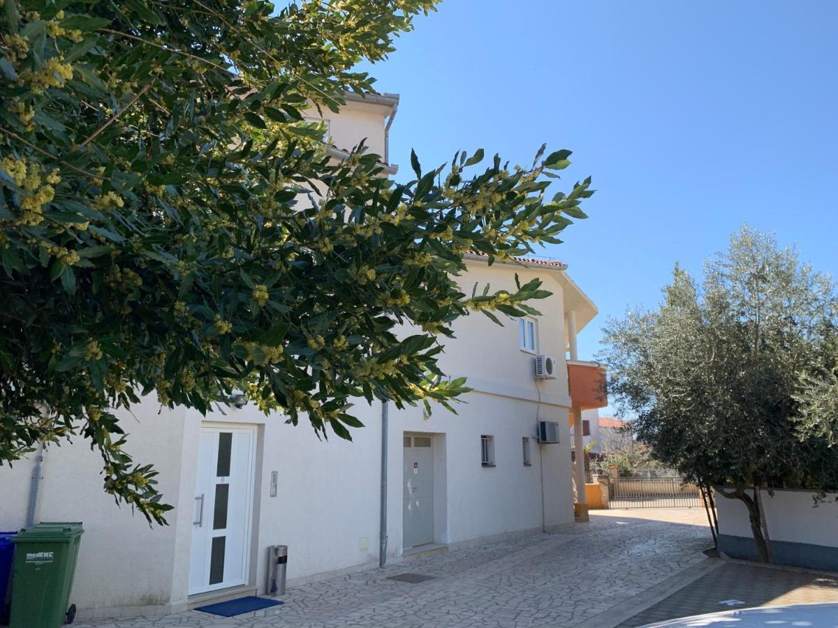 Apartment Natura 7 *